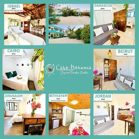 Cabo Bohemia Tropical Garden Studios