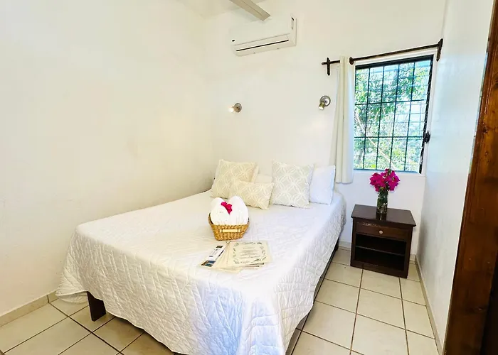 Cabo Bohemia Tropical Garden Apartment Cabo San Lucas