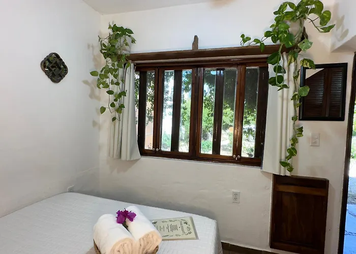 Cabo Bohemia Tropical Garden Apartment Cabo San Lucas