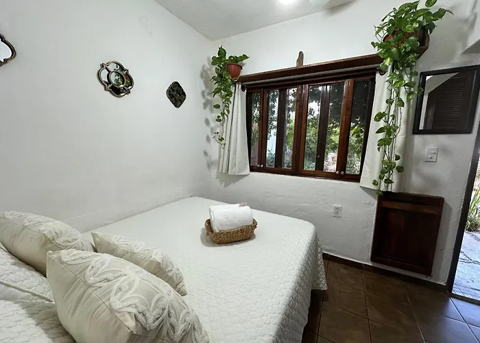 Cabo Bohemia Tropical Garden Apartment *