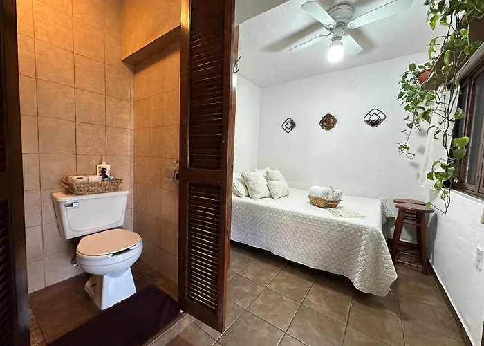 Cabo Bohemia Tropical Garden Apartment Cabo San Lucas