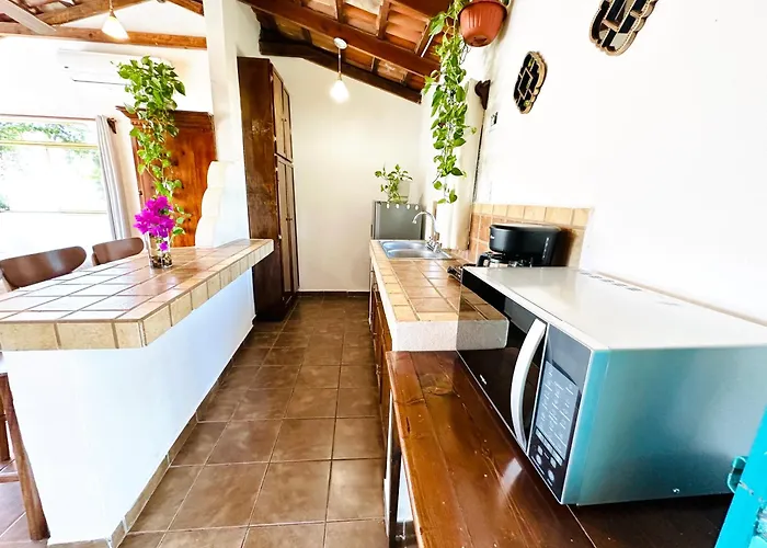 Cabo Bohemia Tropical Garden Apartment *