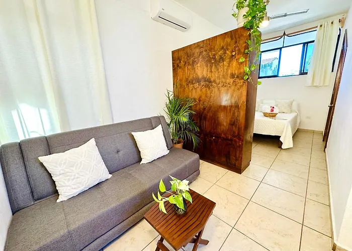 Cabo Bohemia Tropical Garden Apartment Cabo San Lucas