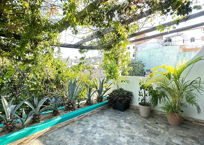 Cabo Bohemia Tropical Garden *
