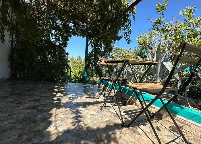 Cabo Bohemia Tropical Garden *