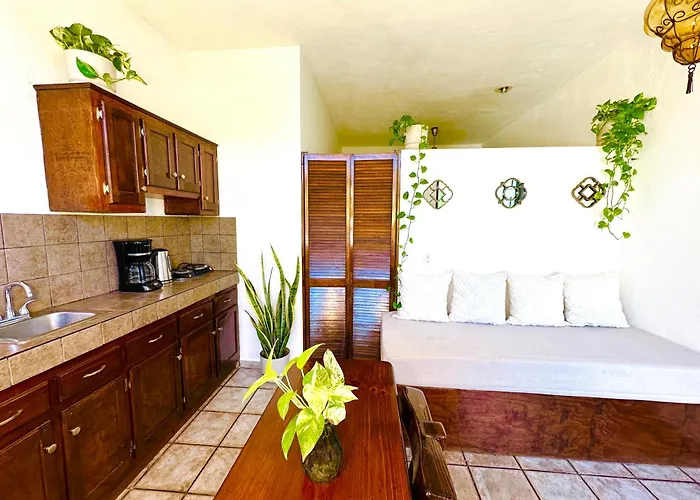 Apartment Cabo Bohemia Tropical Garden *
